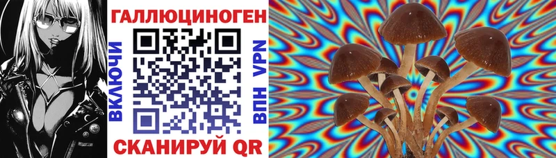 Псилоцибиновые грибы Cubensis  закладки  Туапсе 